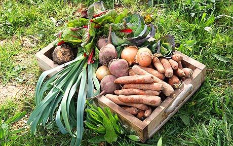 Vegetable Box Schemes serving London