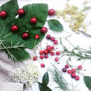 VIP Series: Summer Foraging Walk with Rachel de Thample