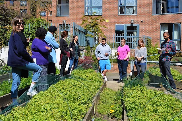 Intro to Food Growing