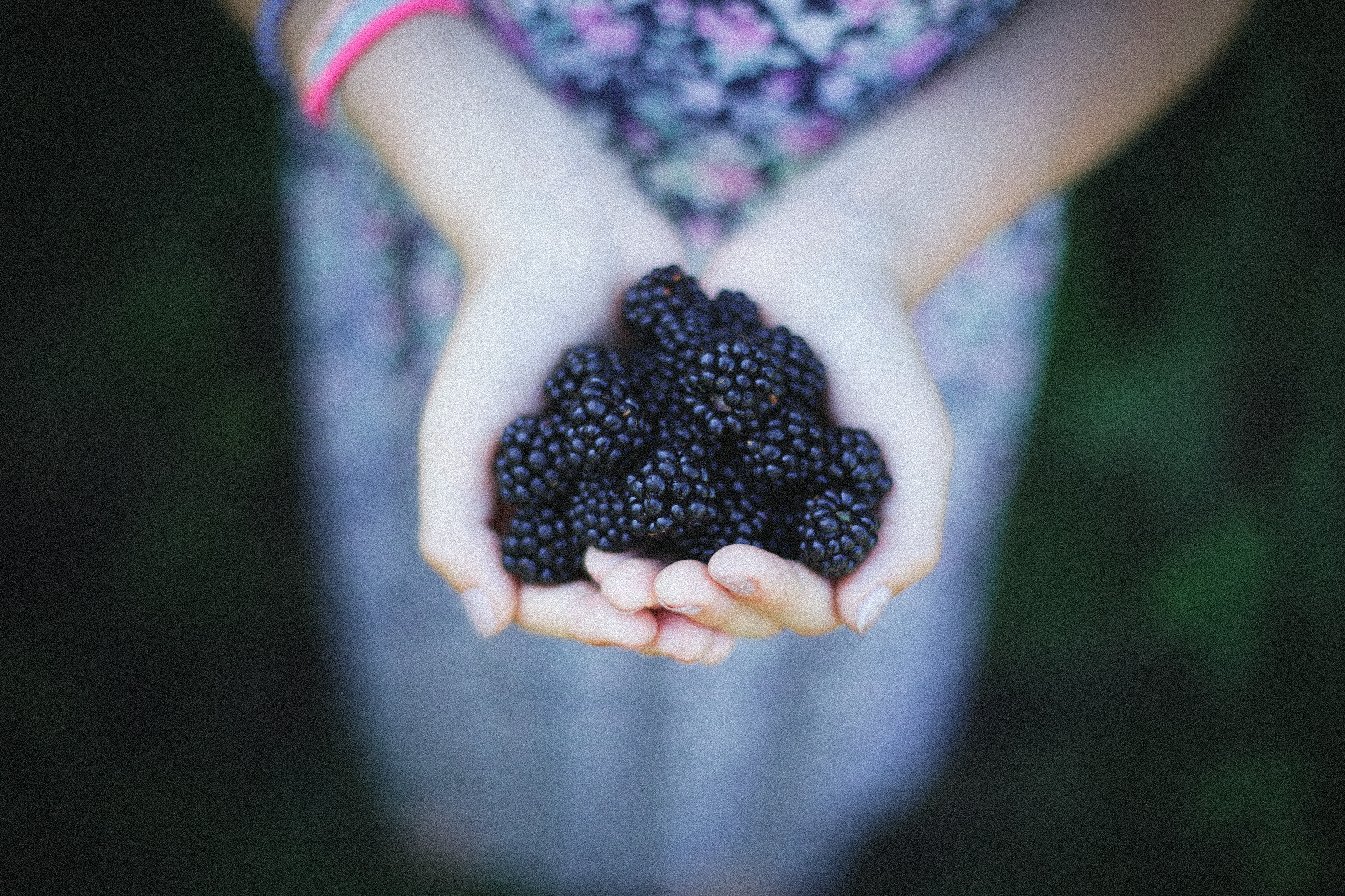 Autumnal Foraging Walk in Crystal Palace (VIP Series)