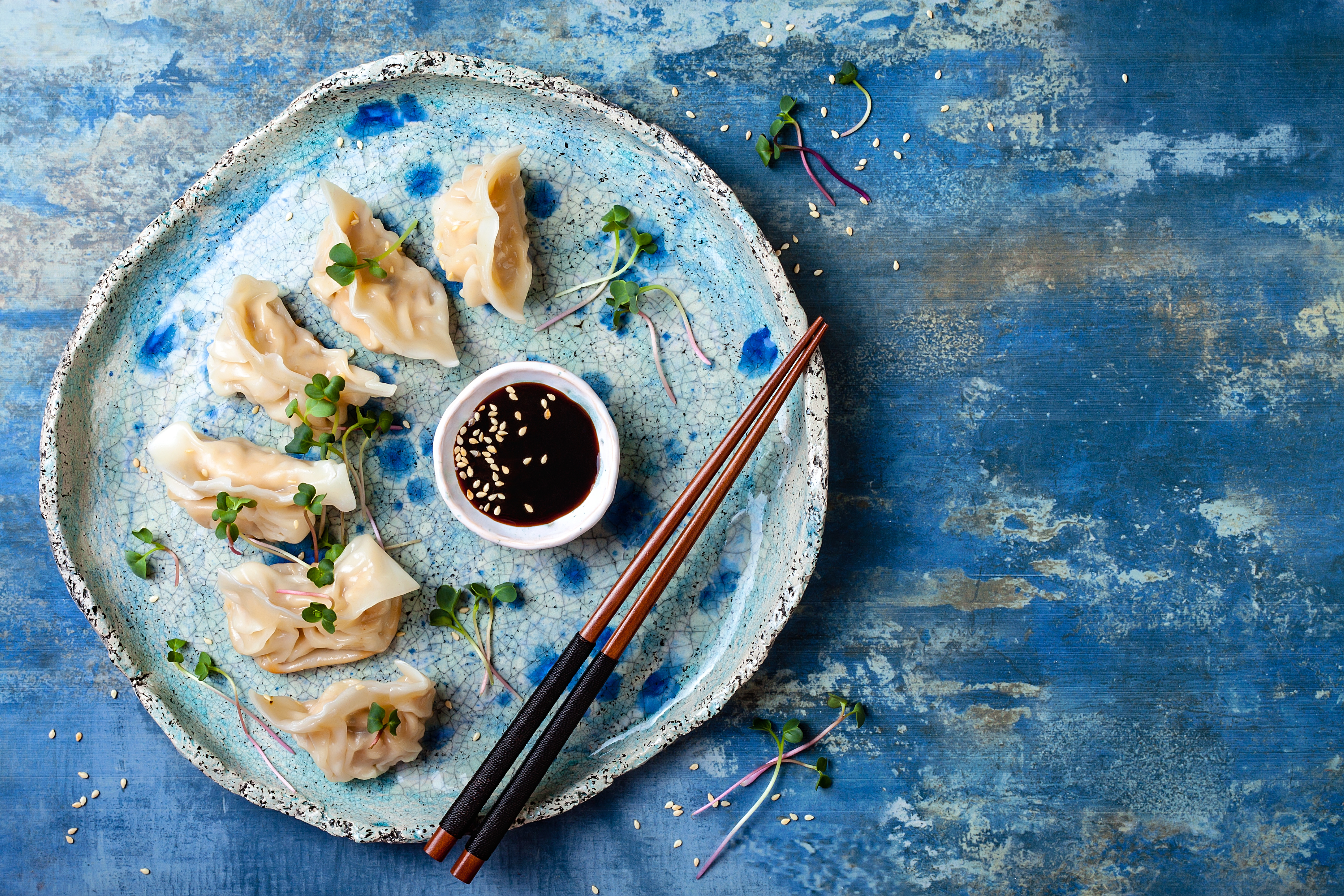 Vegan Gyoza & Ramen Noodle Soup 