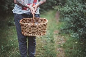 Wild Food Walk, London E3