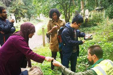 Foraging in London E3