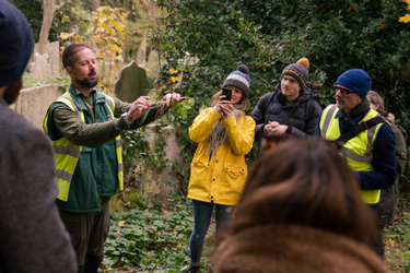 Wild Food Walks - Foraging in London E3