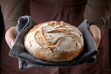 Intro to Sourdough Bread Making