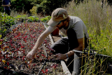 Community Class - Celebrate the seasons with OrganicLea