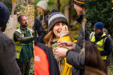 Wild Food Walks - Wild Food Walk: Twilight Forager 